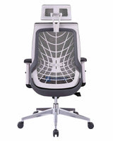 SPIDER MESH