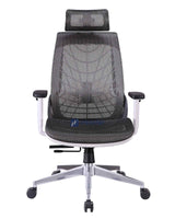 SPIDER MESH