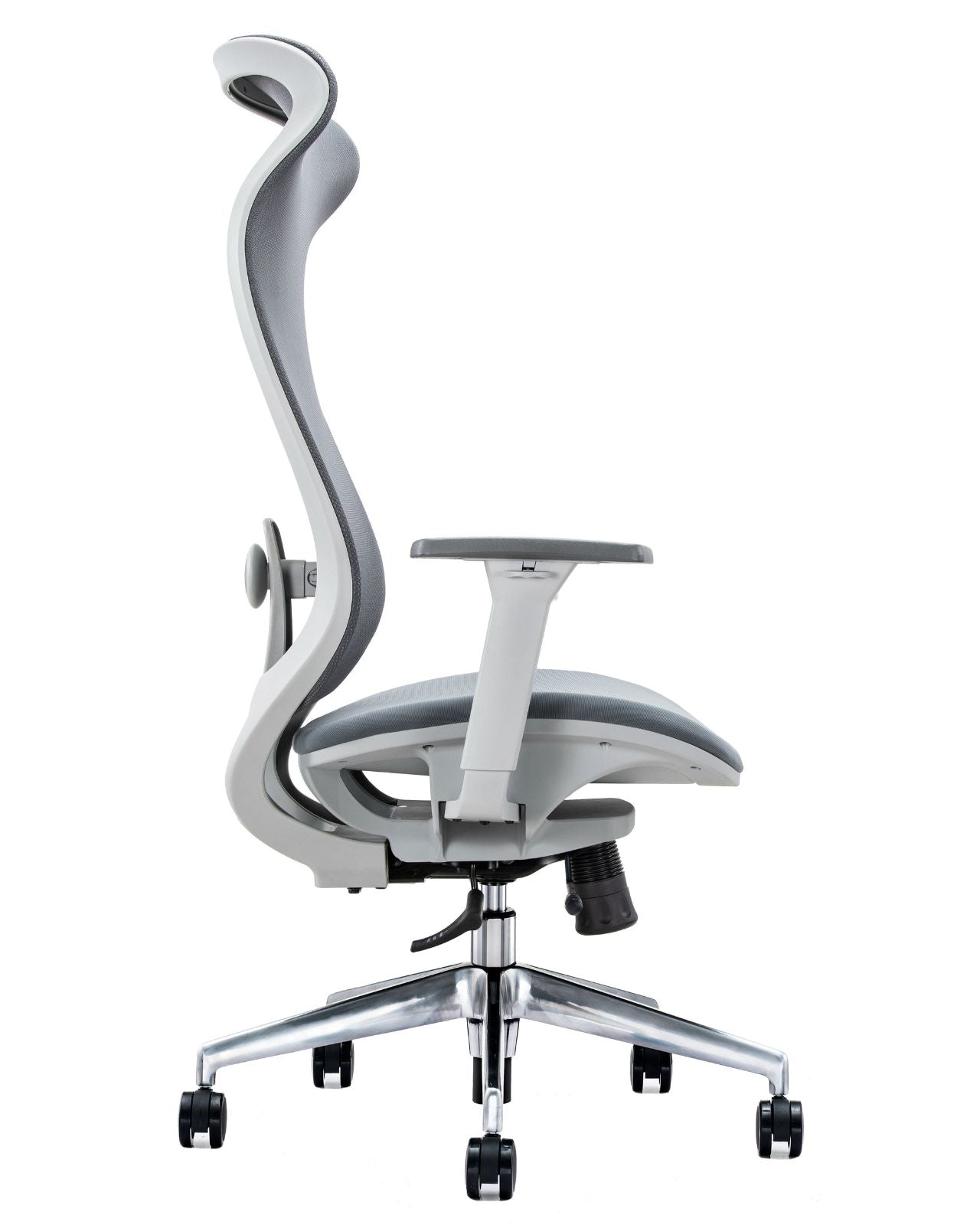 CURVE MESH