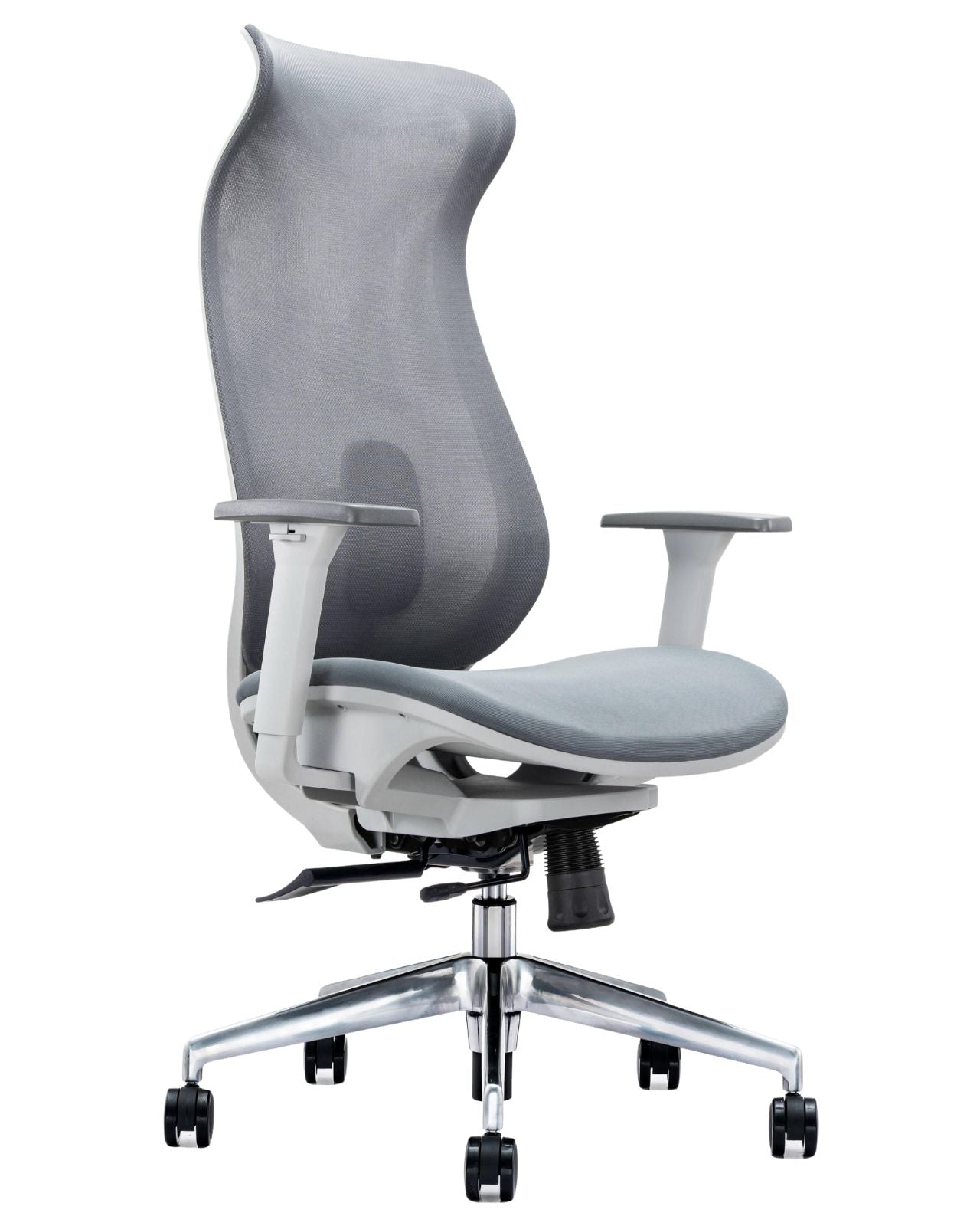 CURVE MESH