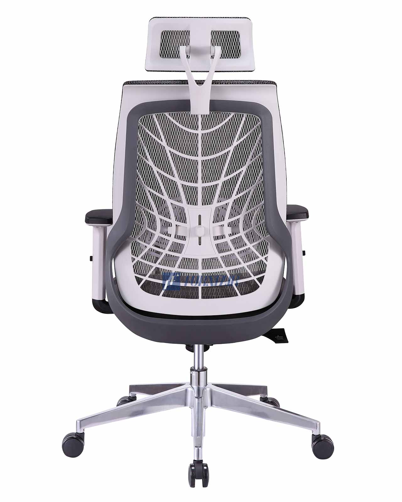 SPIDER MESH