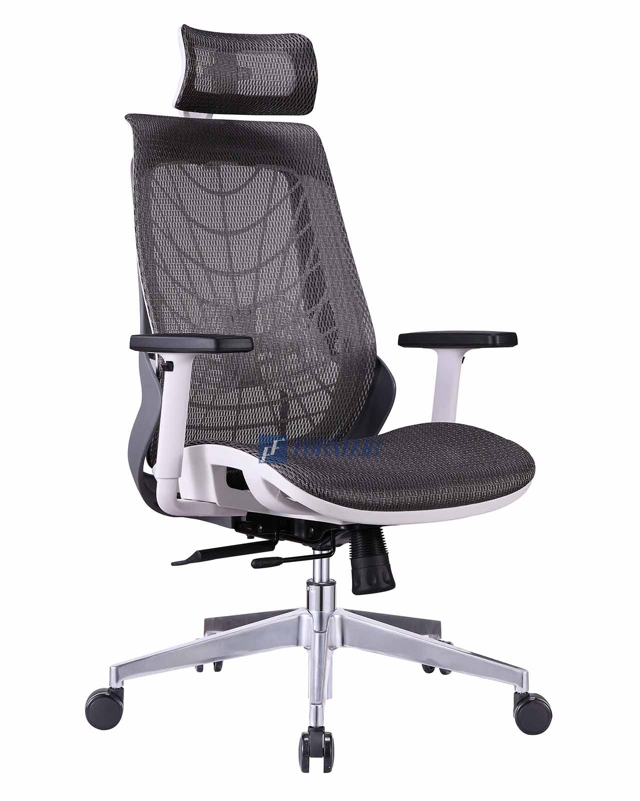 SPIDER MESH
